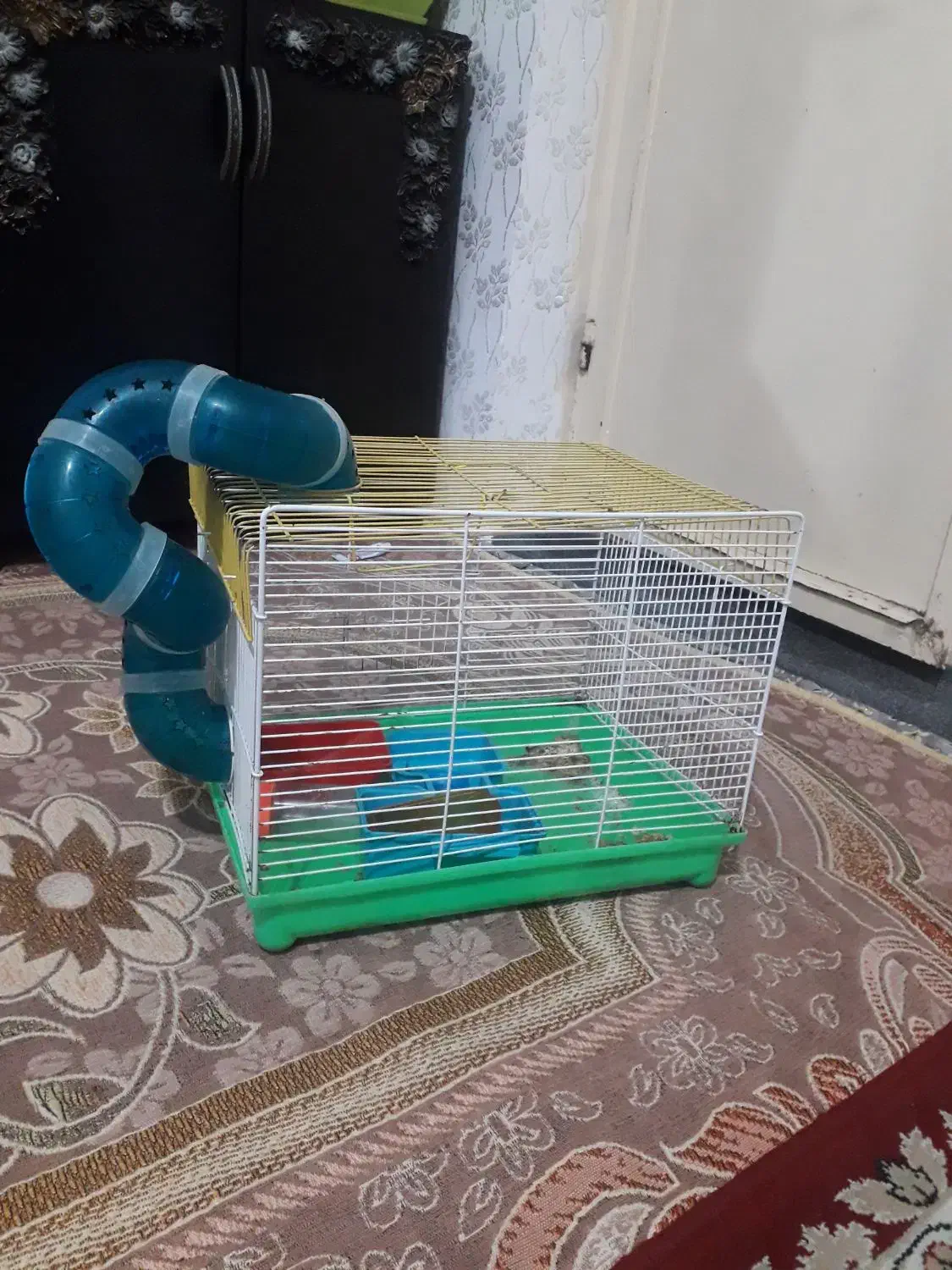 قفس|لوازم جانبی حیوانات|اردبیل, |دیوار