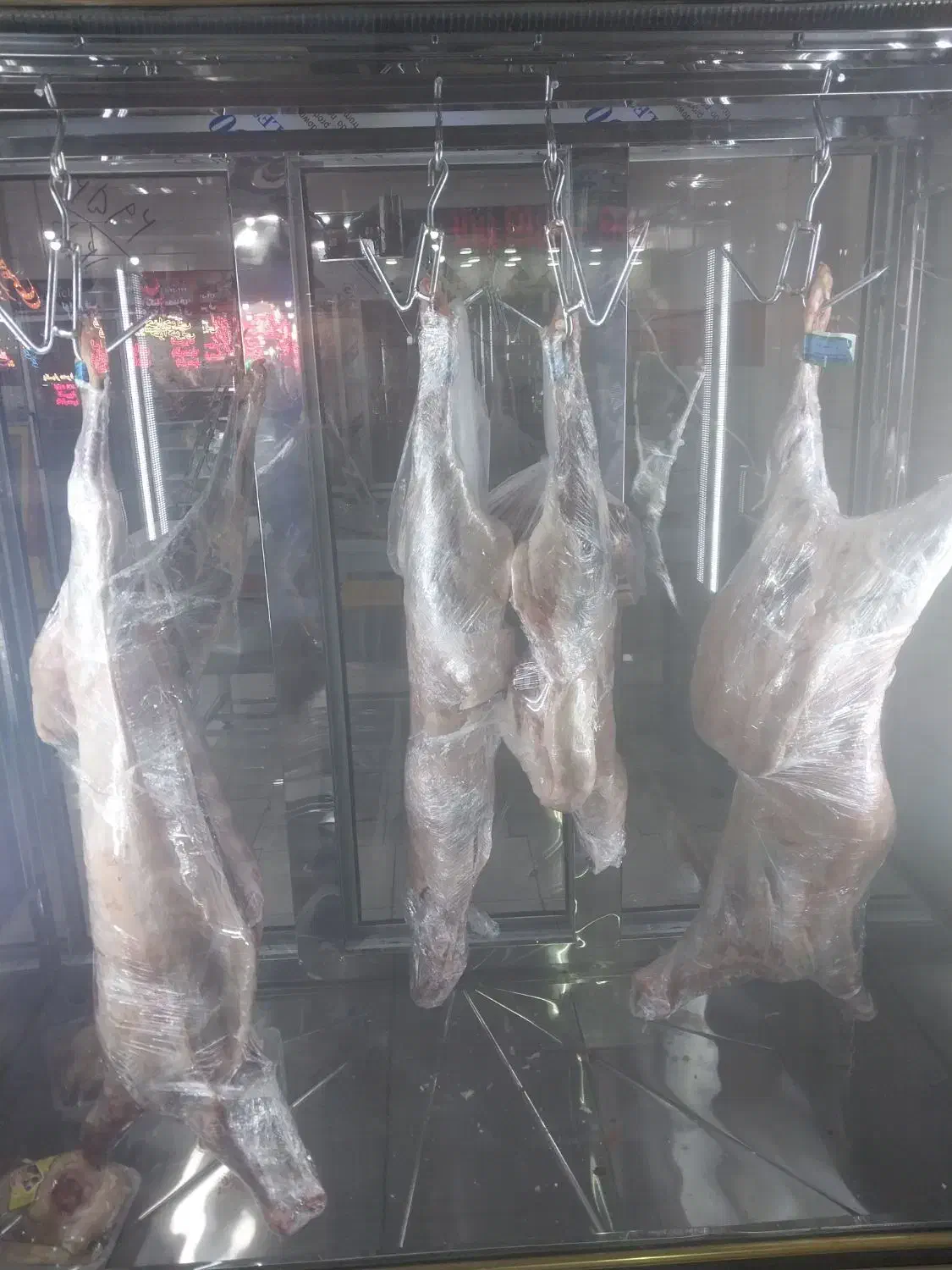 گوسفند بره گوشت مرغ|حیوانات مزرعه|سیرجان, |دیوار