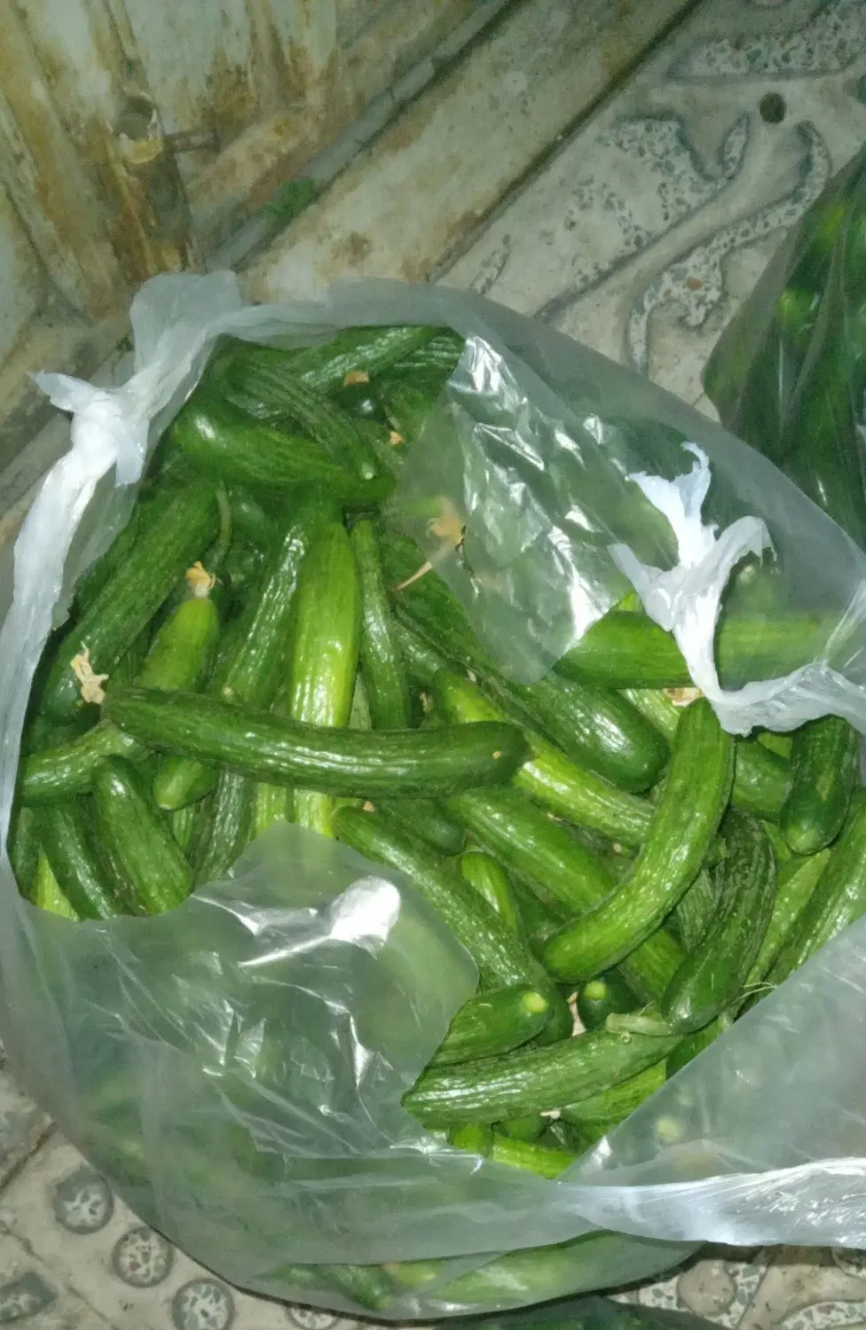 خیار|خوردنی و آشامیدنی|ارومیه, |دیوار