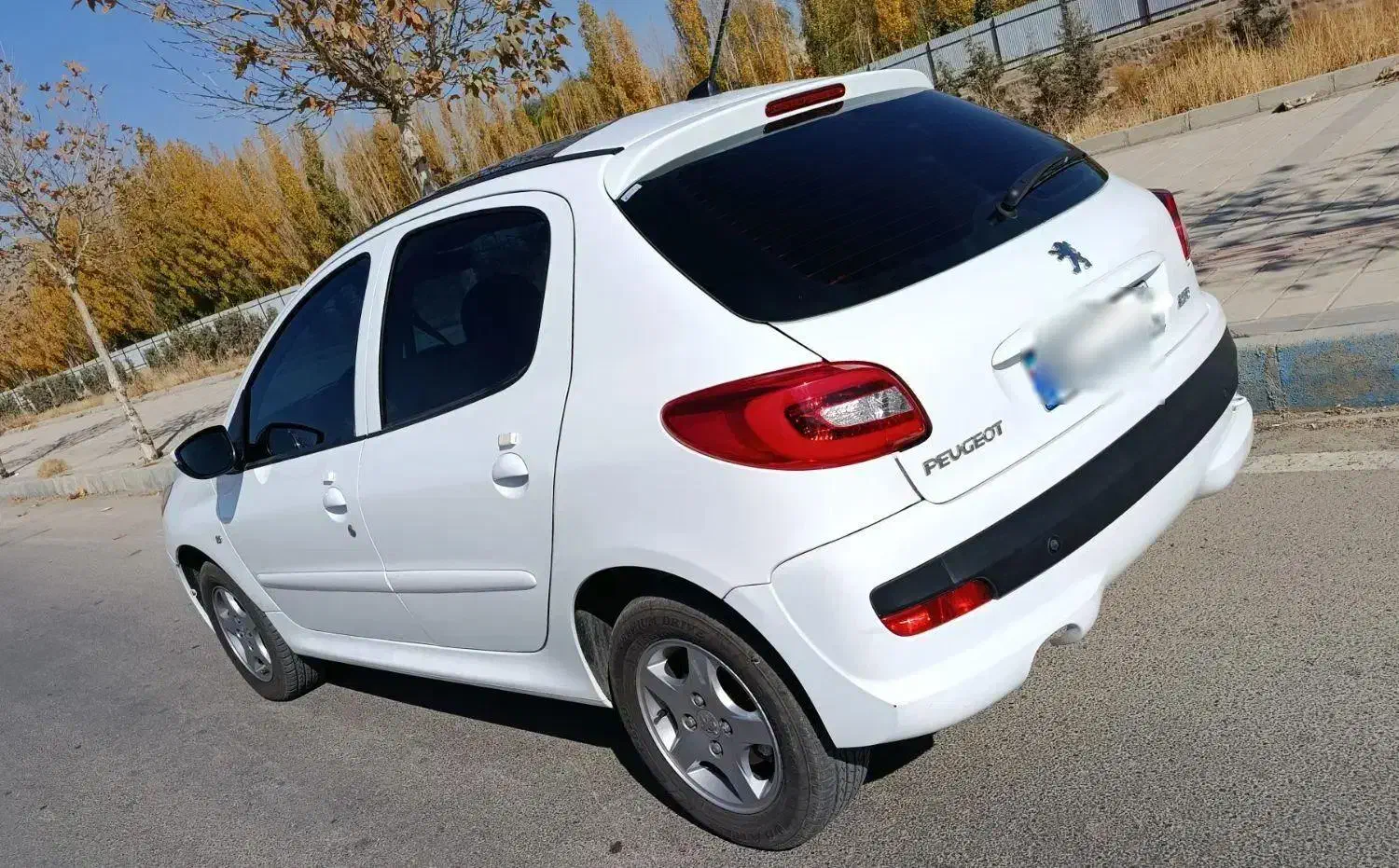 ۲۰۷پانا مدل ۱۴۰۲|خودرو سواری و وانت|خرمدره, |دیوار