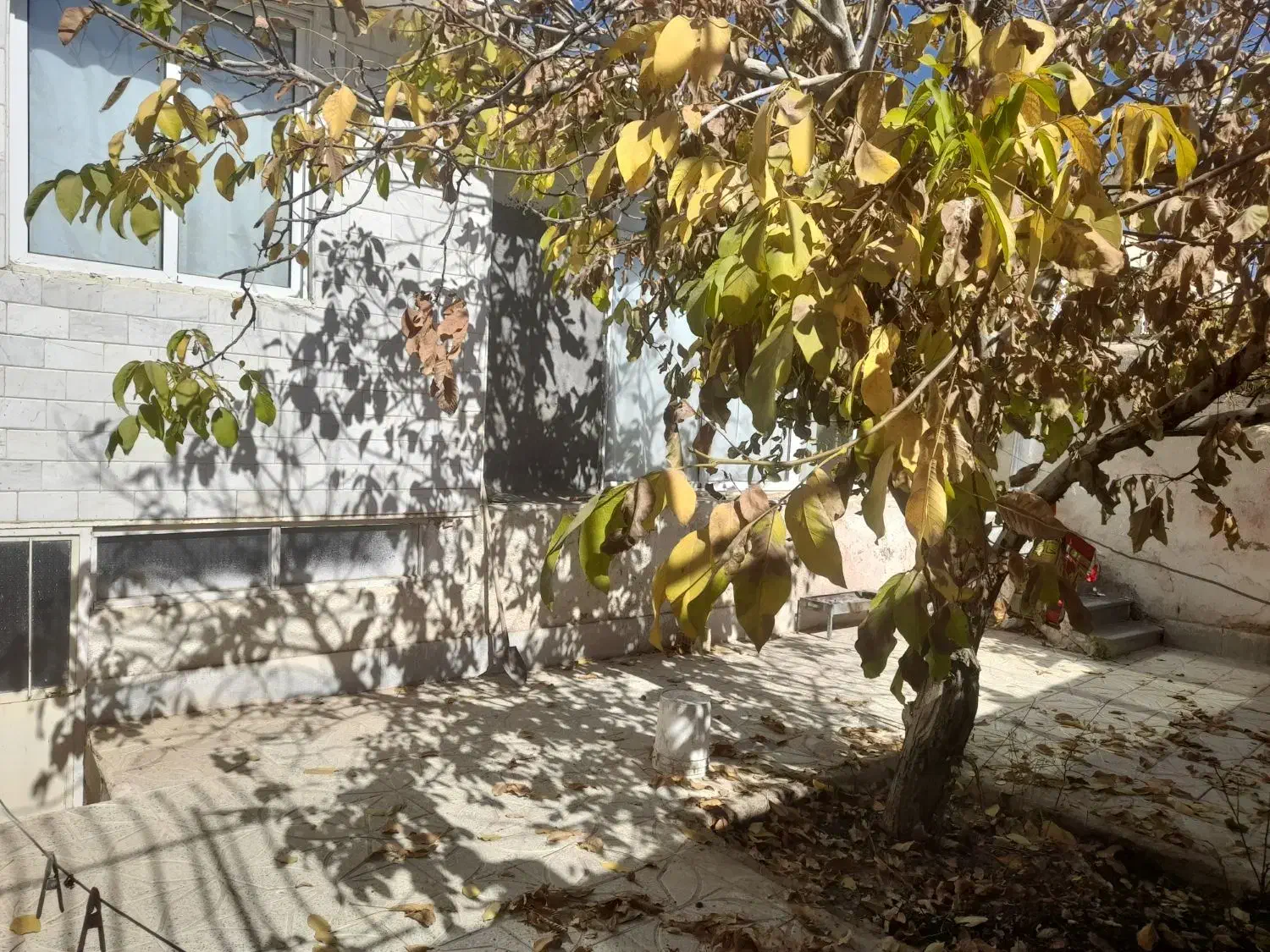 ویلای|فروش خانه و ویلا|داران, |دیوار