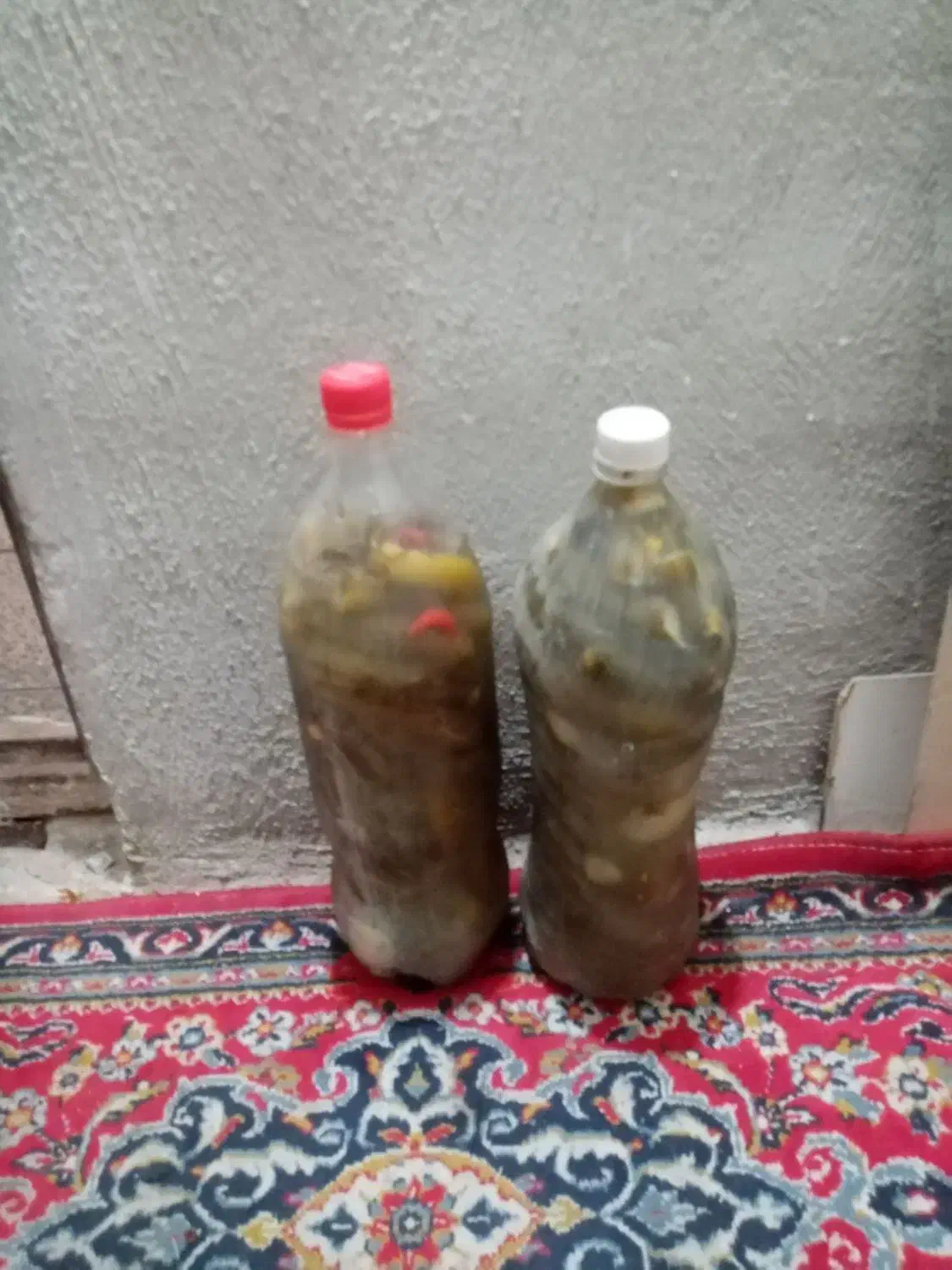 آبغوره|خوردنی و آشامیدنی|محمدیه-قزوین, |دیوار