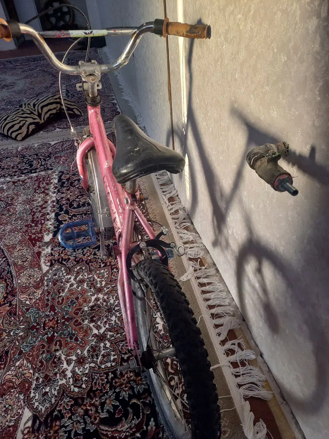 دوچرخه|دوچرخه، اسکیت، اسکوتر|صدرا-فارس, فاز ۲|دیوار