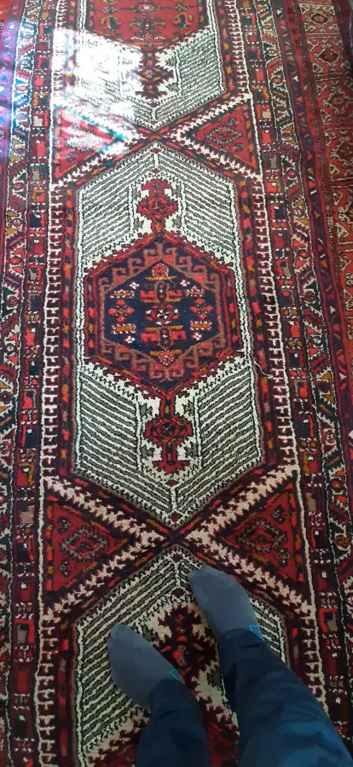 فرش کناره دست بافت|فرش|قزوین, |دیوار