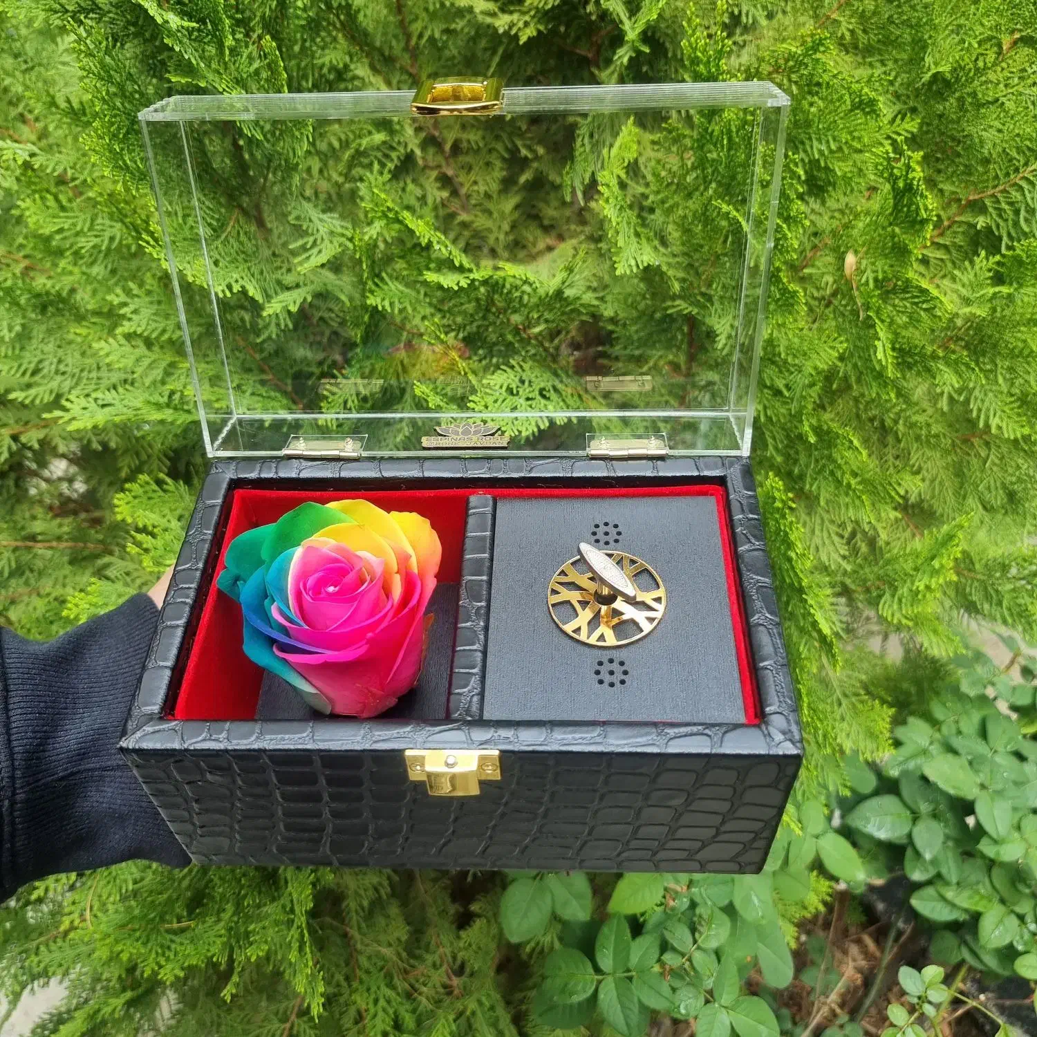 باکس گل جاودان اسپیناس رز کد ۹۴ پلکسی|گل و گیاه طبیعی|تهران, میدان ولیعصر|دیوار