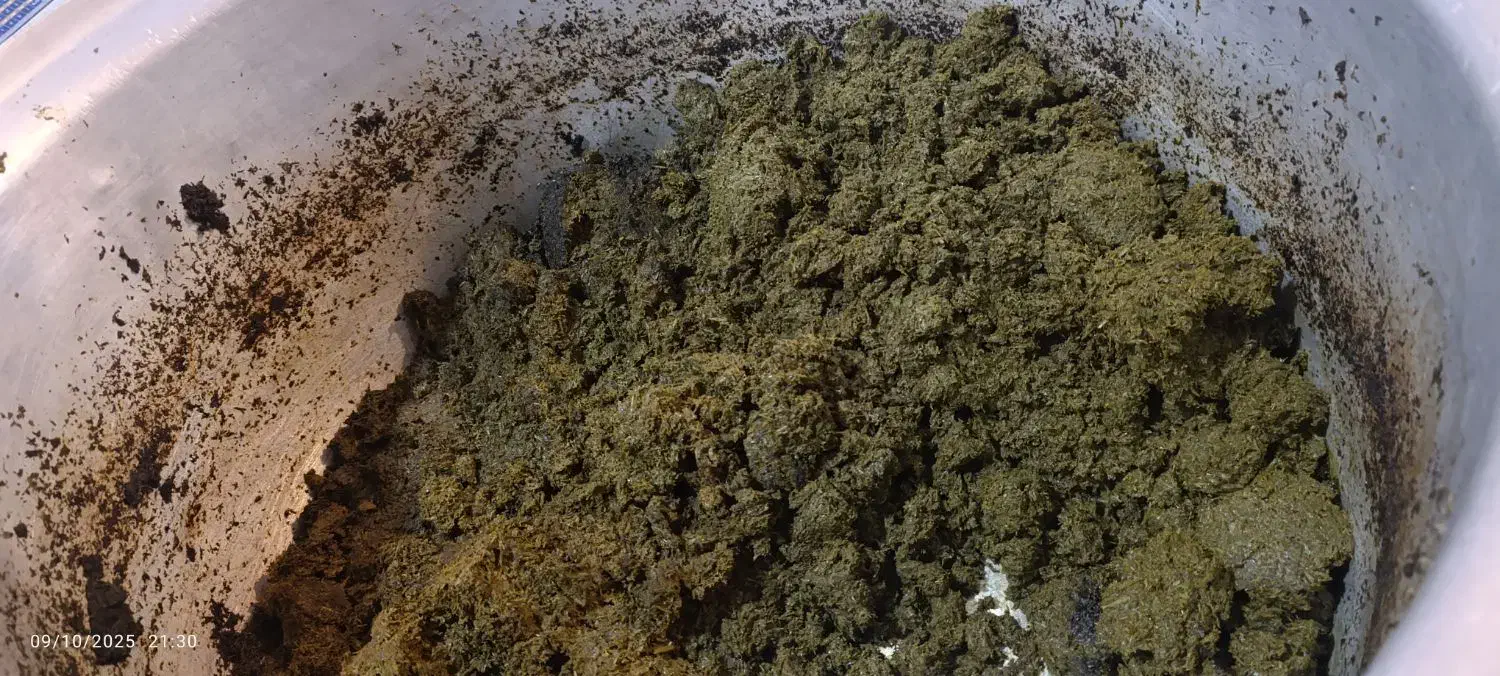 قرمه سبزی سرخ شده|خوردنی و آشامیدنی|پاکدشت, کبودگنبد|دیوار