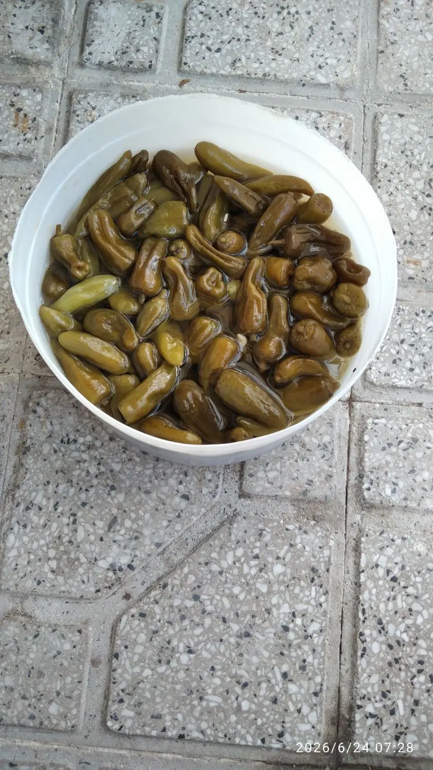فلفل|خوردنی و آشامیدنی|همدان, |دیوار