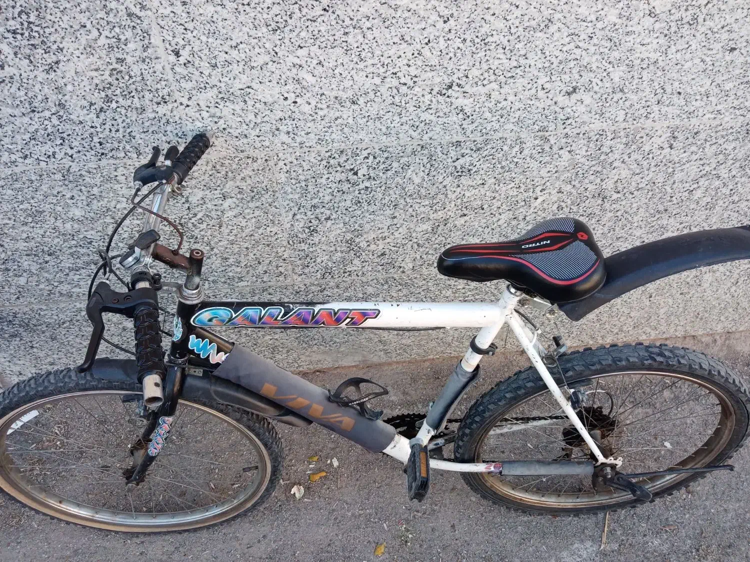 دوچرخه|دوچرخه، اسکیت، اسکوتر|شاهرود, |دیوار