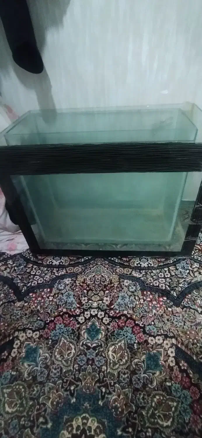 دو عدد تنگ ماهی کوچک و بزرگ|ماهی|کرمانشاه, |دیوار