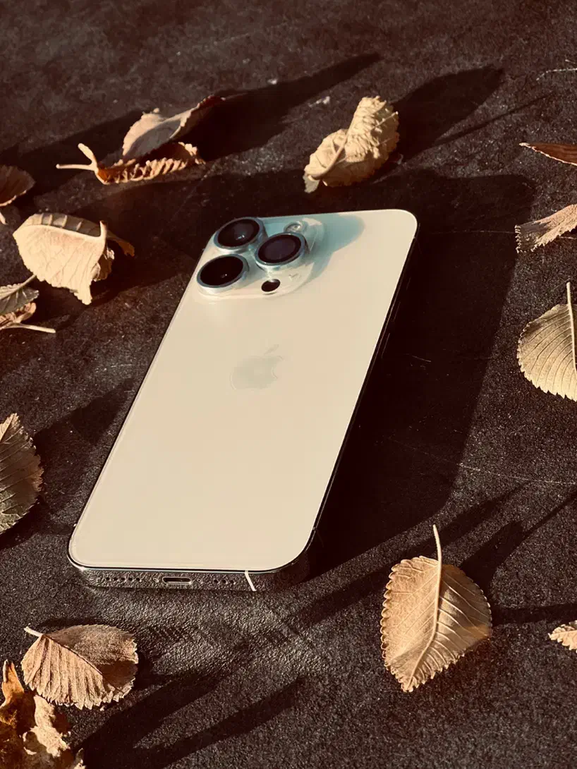 اپل iPhone 13 Pro ۲۵۶|موبایل|تهران, بریانک|دیوار