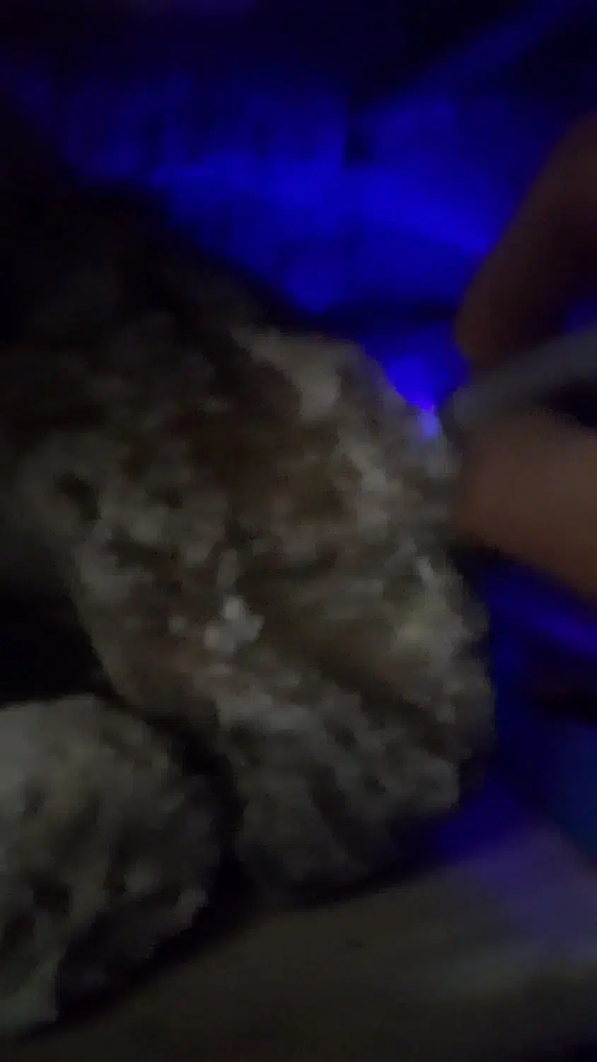 فروش شنگ های قیمتی خواص|کلکسیون اشیاء عتیقه|محمودآباد, |دیوار