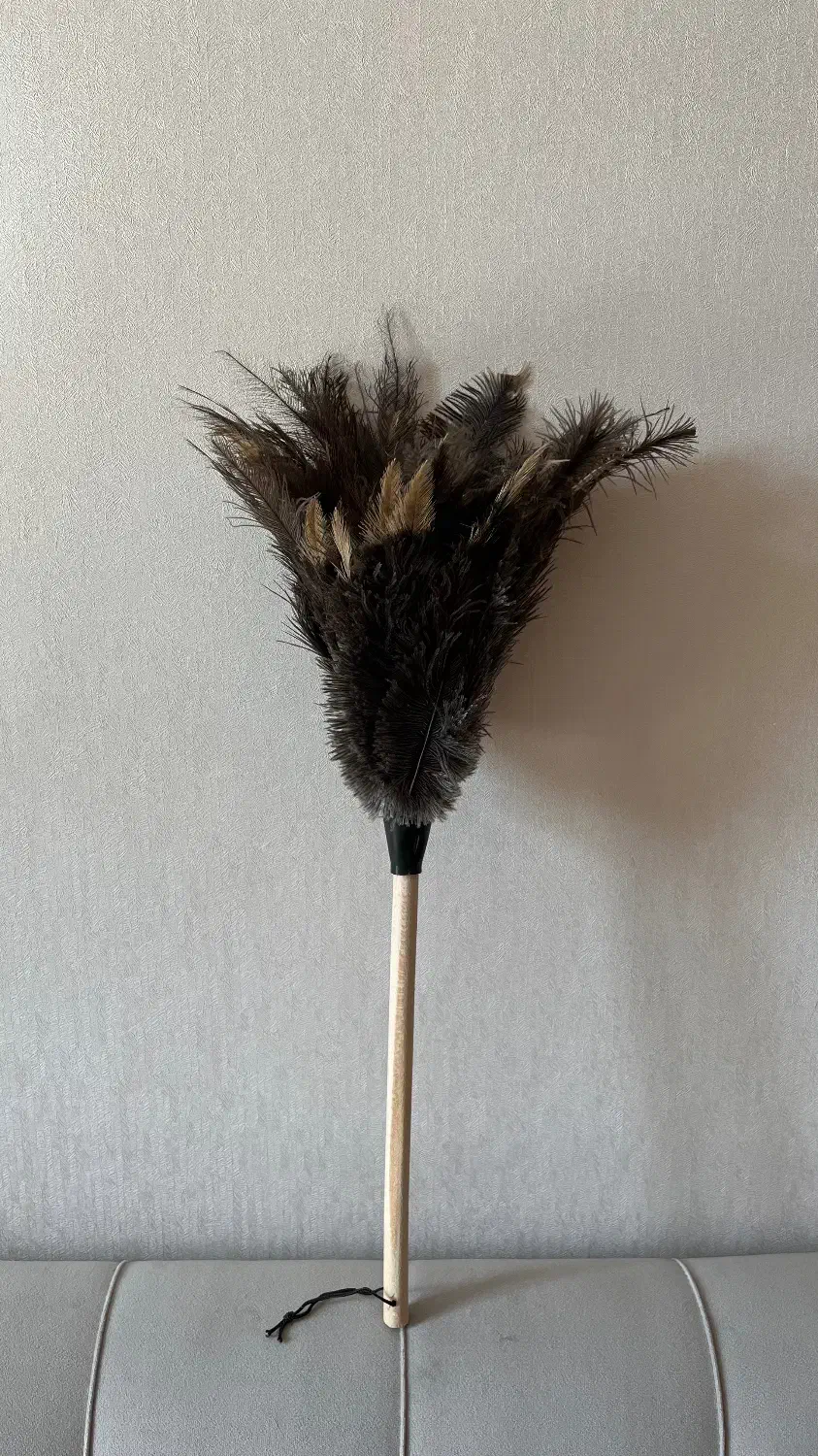 گردگیر پر شترمرغ (عمده و تک)|لوازم نظافت|قم, زنبیل آباد|دیوار