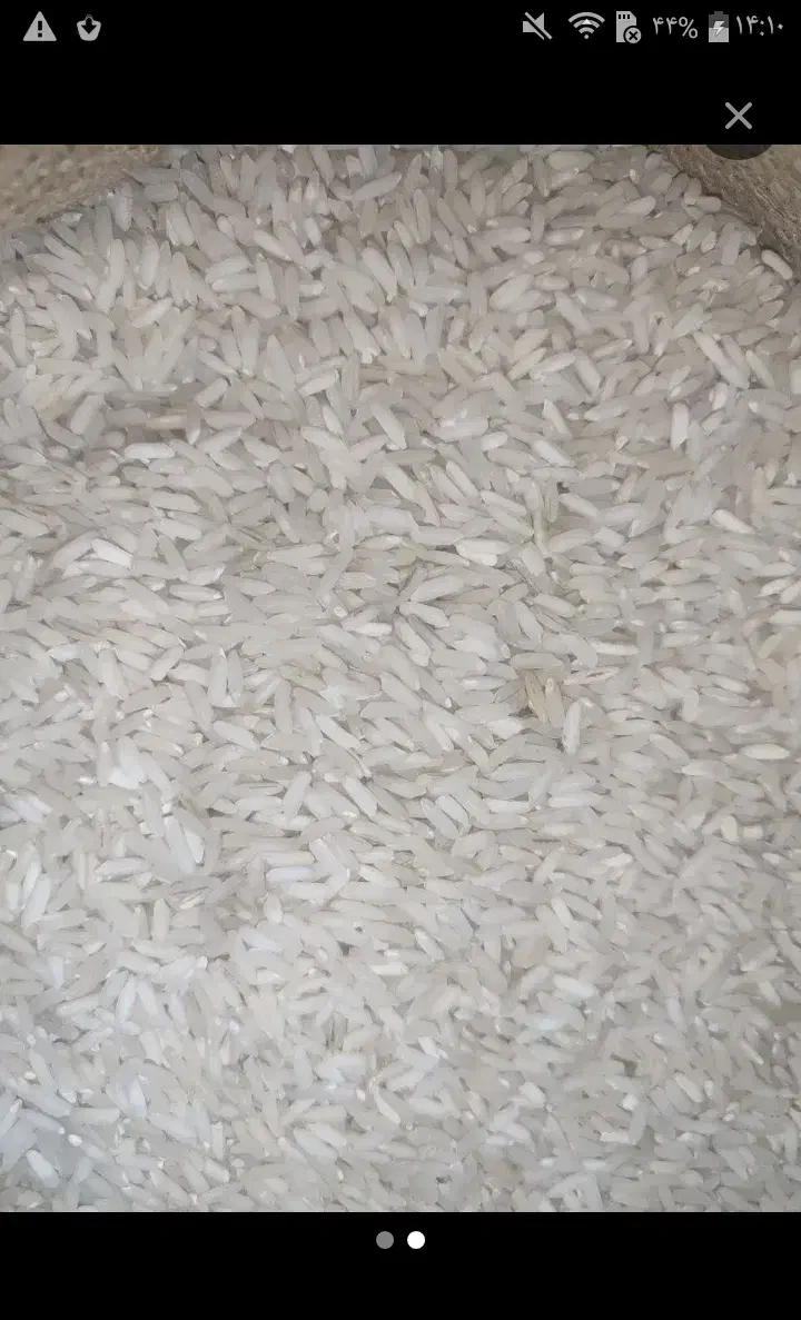 بافکر برنج ایرانی|خوردنی و آشامیدنی|گوگان, |دیوار