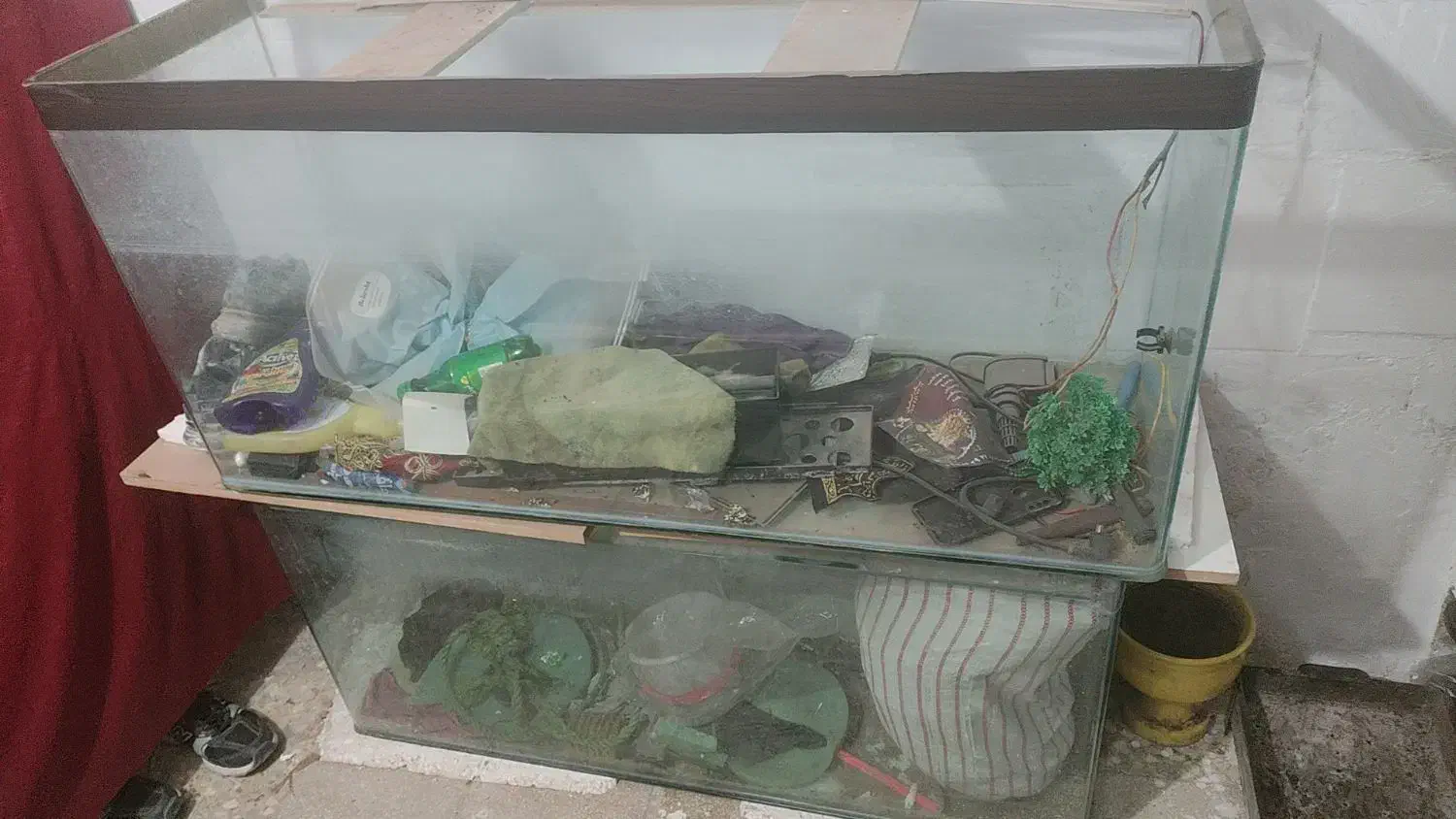 اکواریم شرکتی|ماهی|قم, امامزاده ابراهیم|دیوار