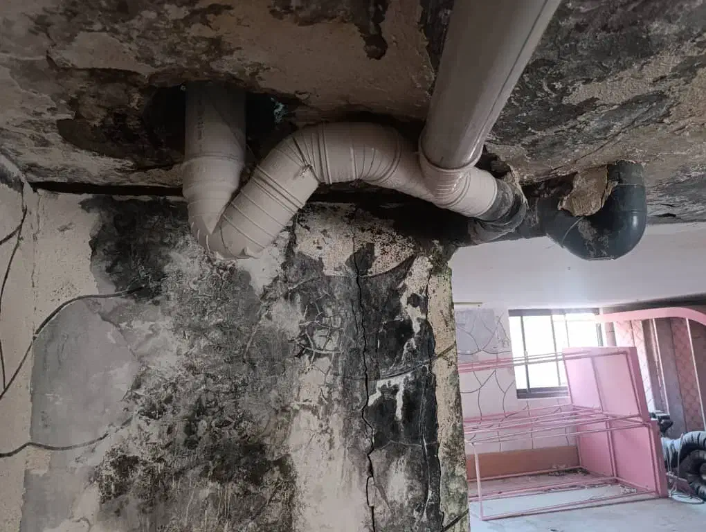 برق کشی لوله کشی|خدمات پیشه و مهارت|قشم, |دیوار