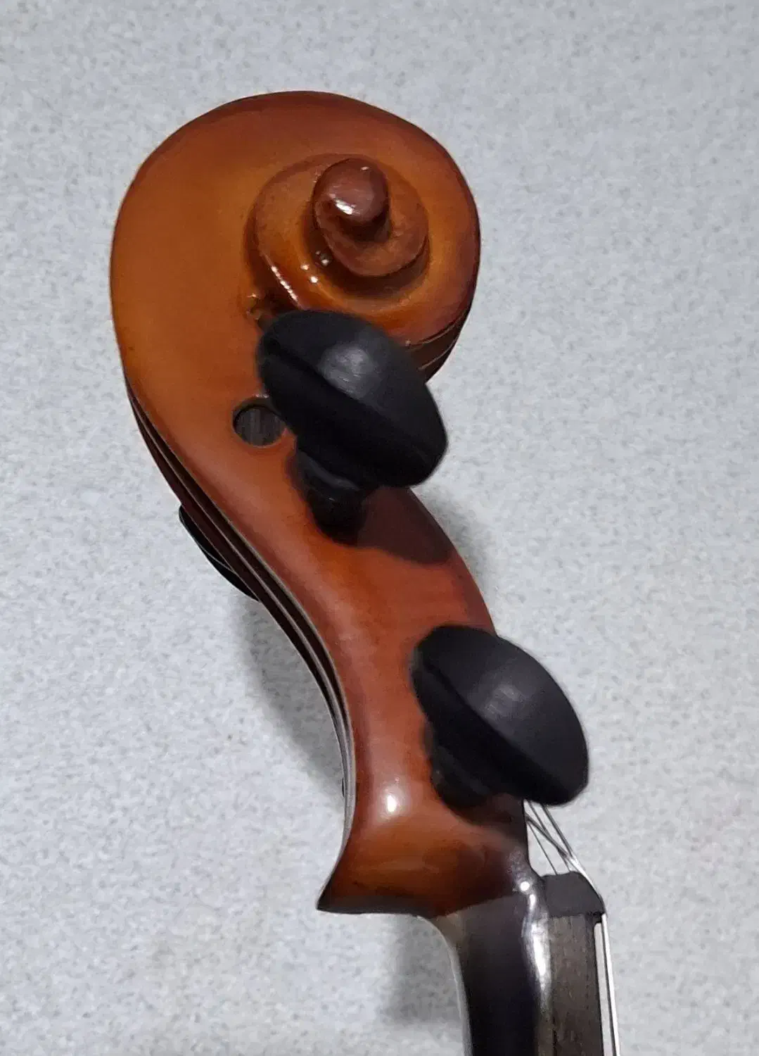 ویولن roderich paesold|ویولن|مریوان, |دیوار