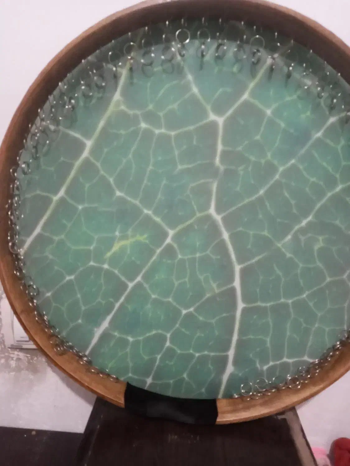 یک عدد دف سالم نو|سازهای سنتی|قزوین, |دیوار