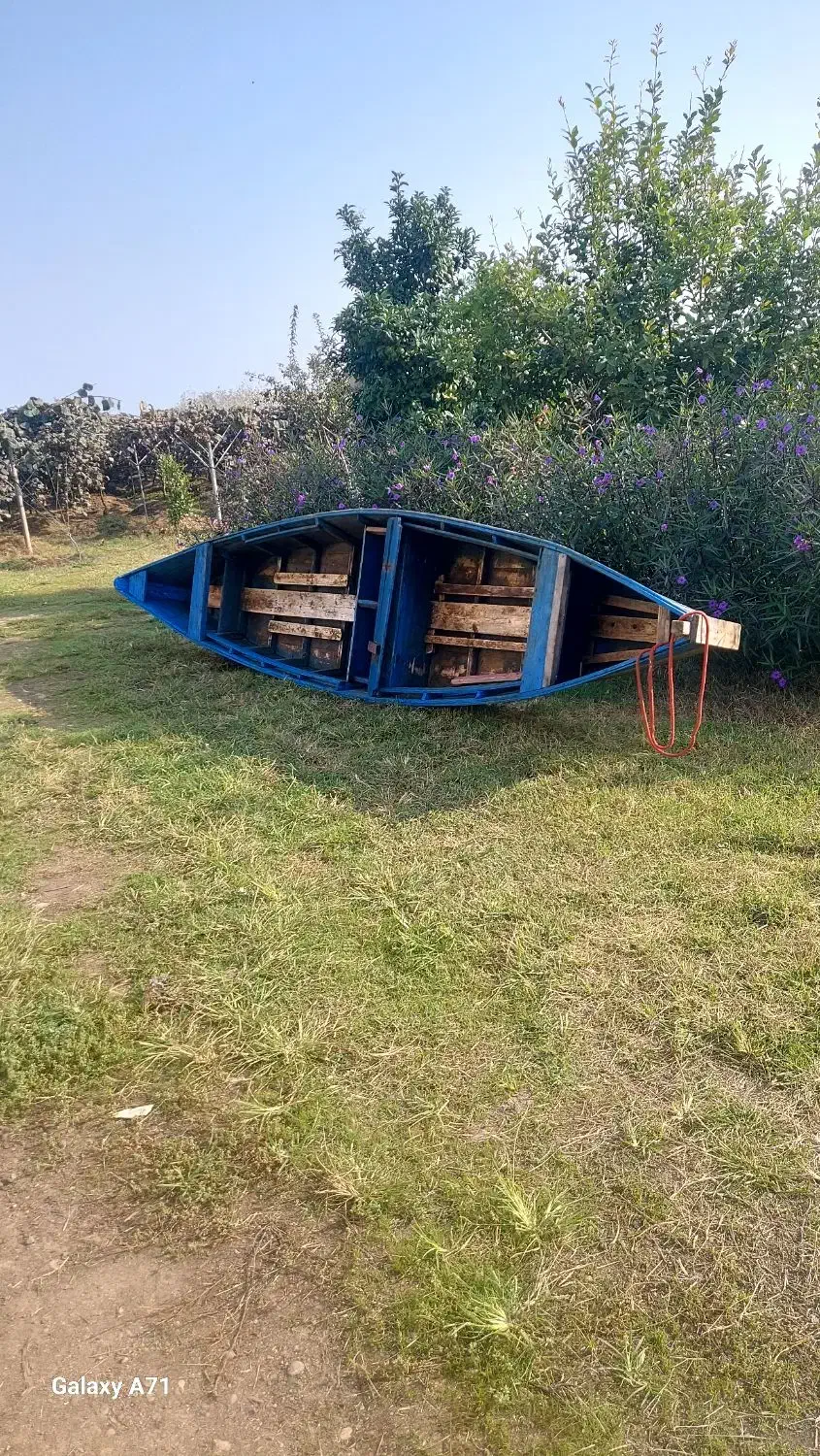 قایق چوبی|قایق و سایر وسایل نقلیه|بندر انزلی, بشمن|دیوار