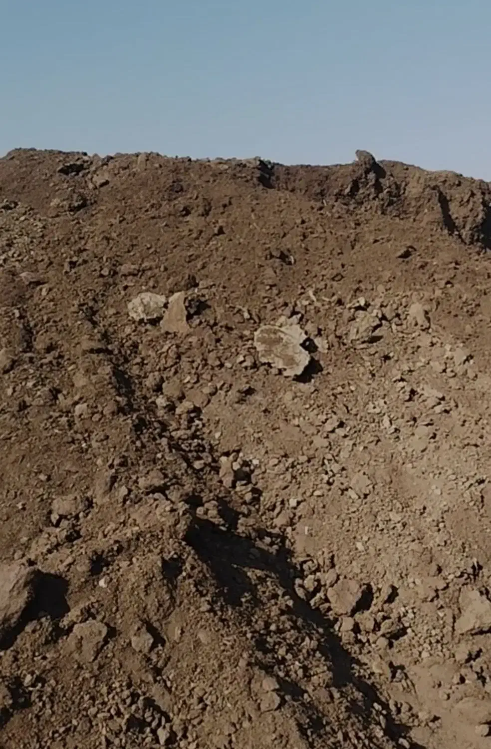 کود دامی پوسیده، چالکود، پلیت مرغی، هیومیک گرانول|خدمات باغبانی و درختکاری|شهریار, شهریار|دیوار