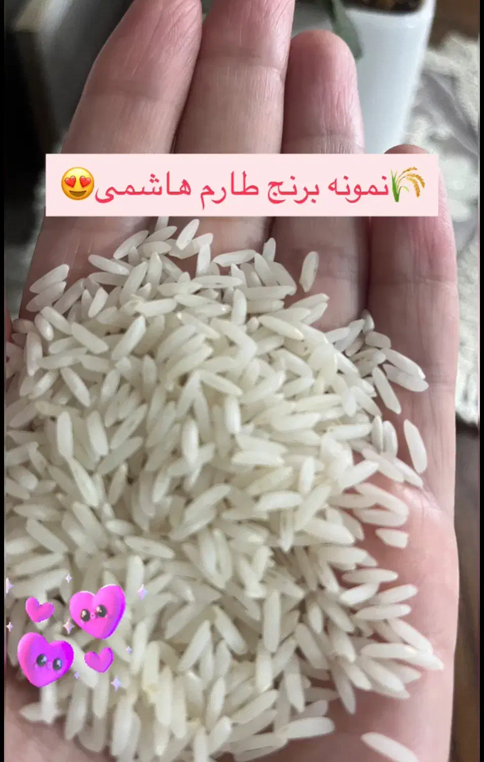 برنج طارم هاشمی با اقساط دو ماه،ضمانتی|خوردنی و آشامیدنی|زرند, |دیوار