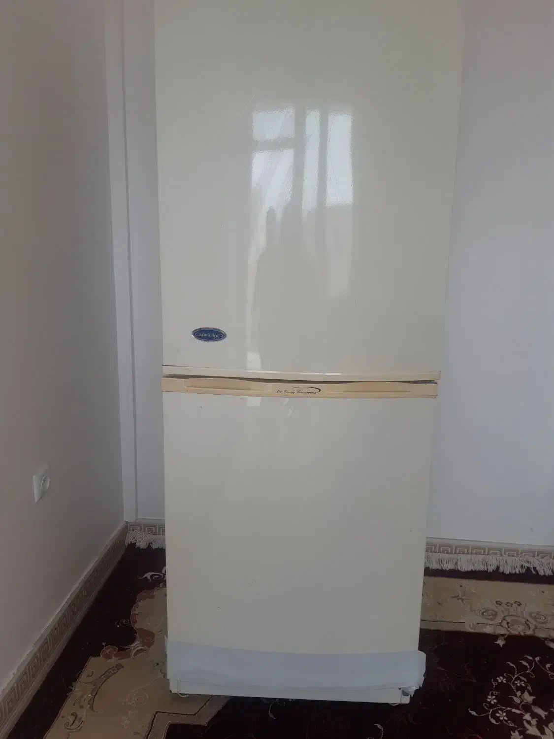 یخچال|یخچال و فریزر|قم, باغ شریفی|دیوار