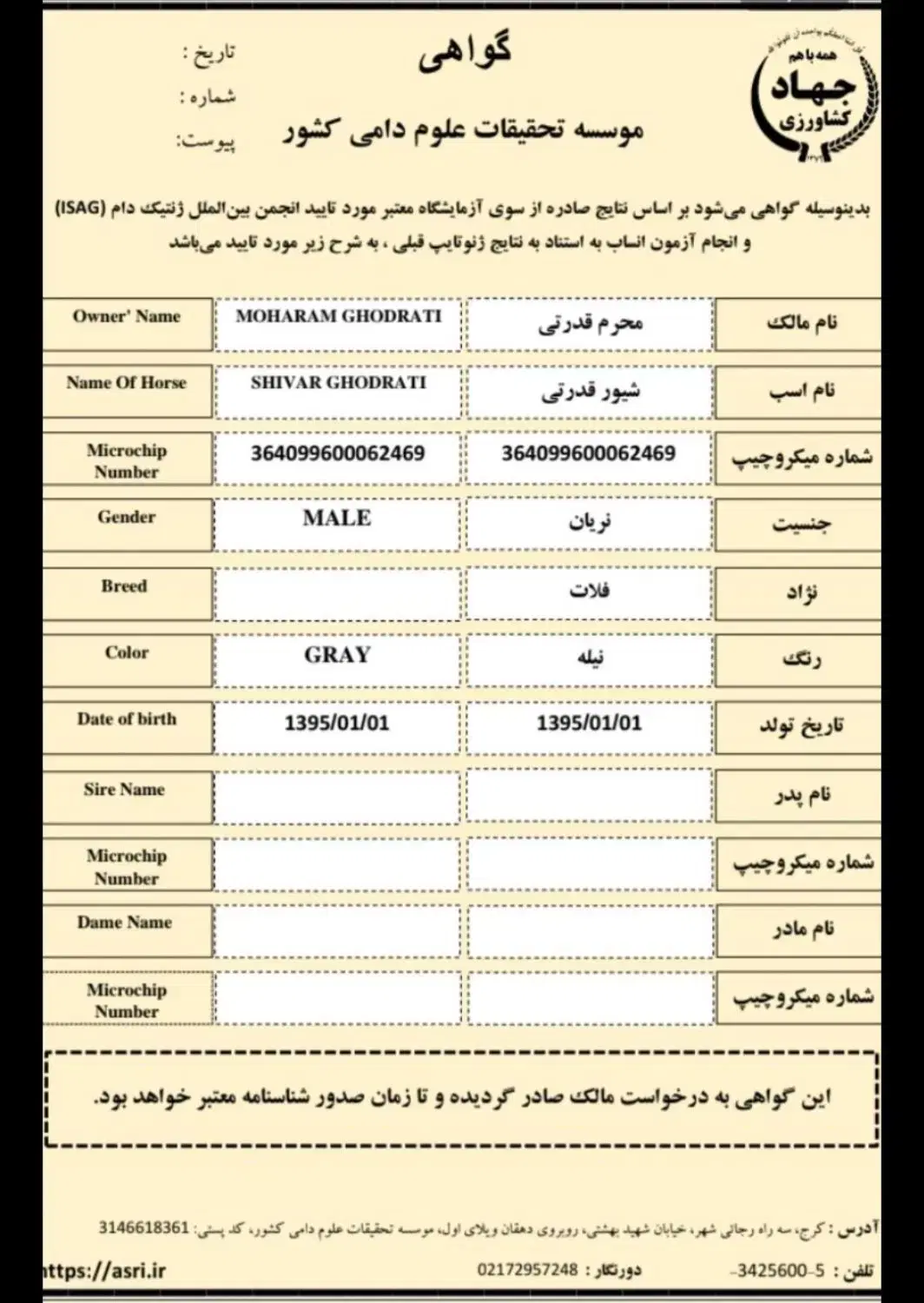 اسب|اسب و تجهیزات اسب‌سواری|اهر, |دیوار