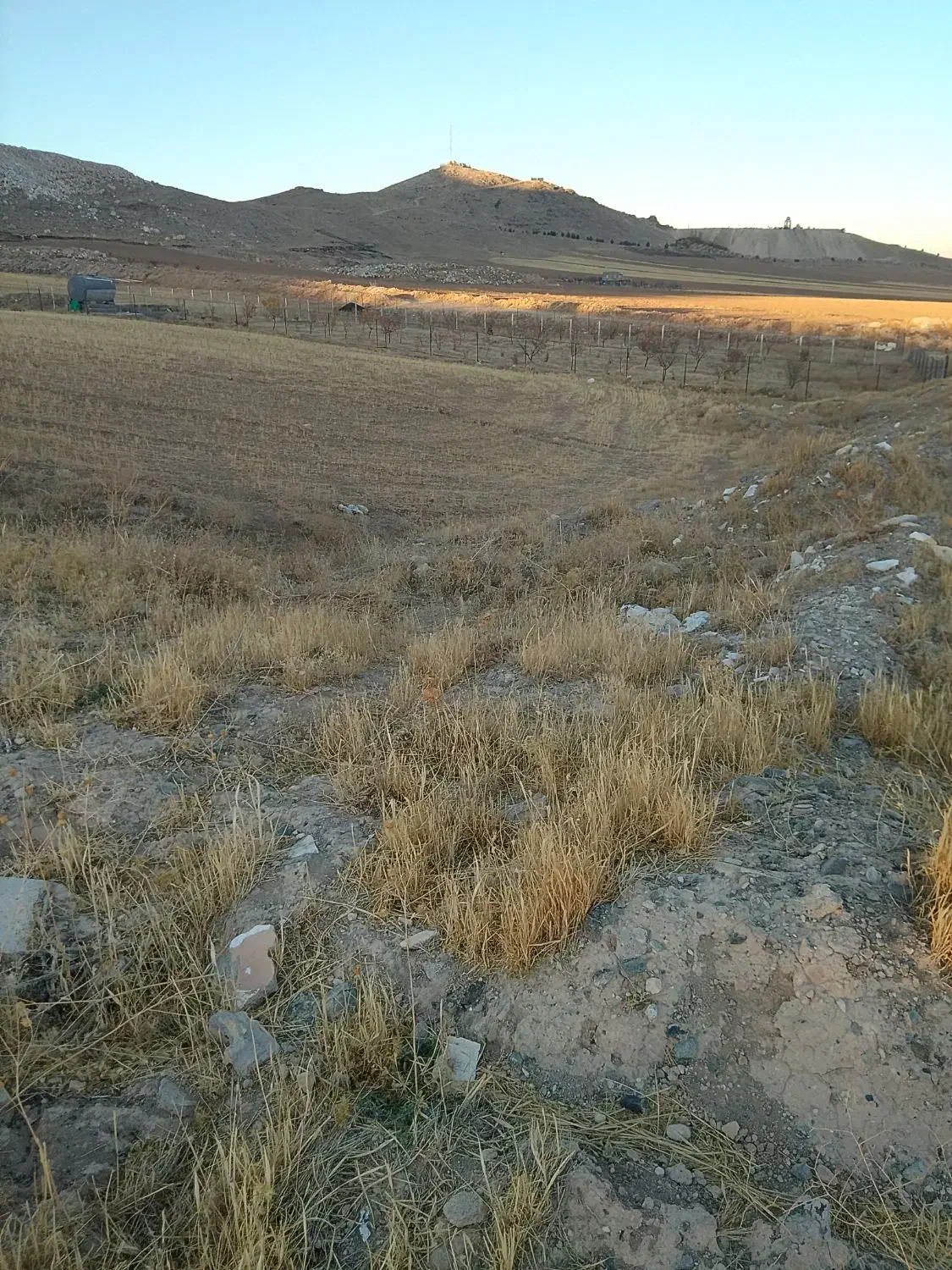 زمین باغی معاوظع هم دارم|فروش خانه و ویلا|قروه, |دیوار