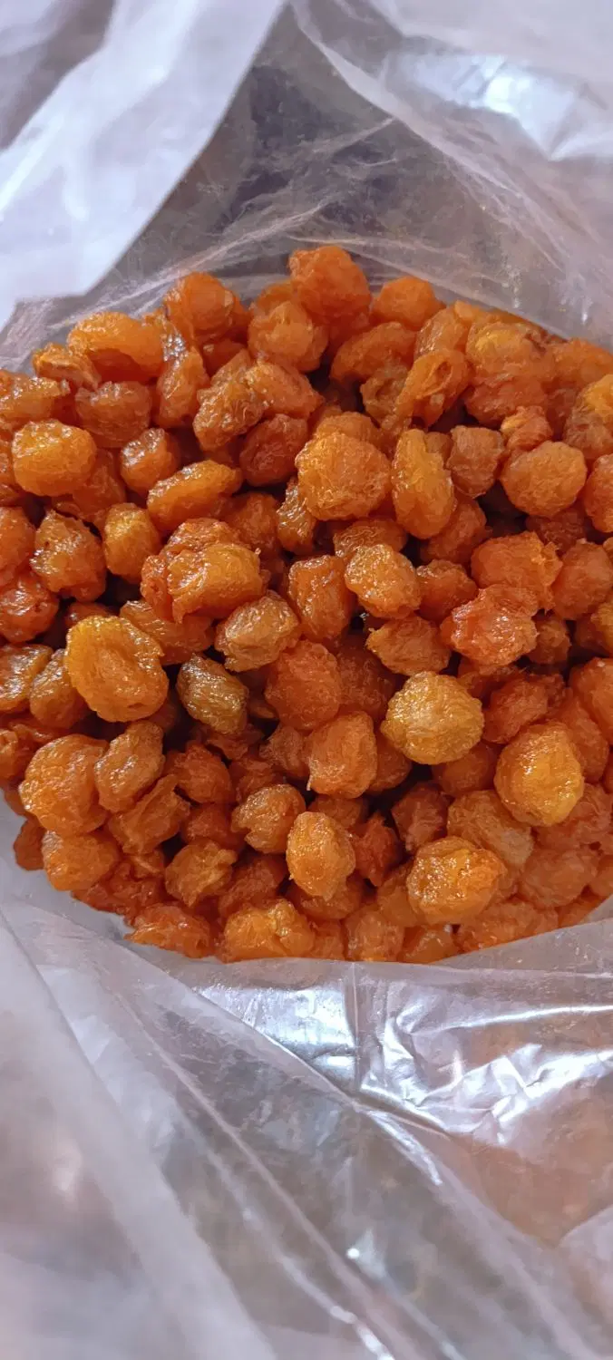 آلو کبرایی|خوردنی و آشامیدنی|تهران, جیحون|دیوار