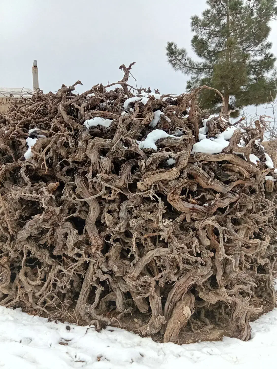 هیزم|بخاری، هیتر، شومینه|بجنورد, |دیوار