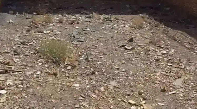 زمین مسکونی|فروش زمین و ملک کلنگی|قصرشیرین, |دیوار