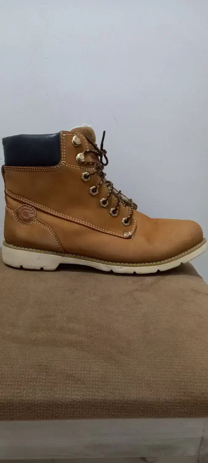 کفش مردانه|کیف، کفش، کمربند|تربت جام, شاهد|دیوار