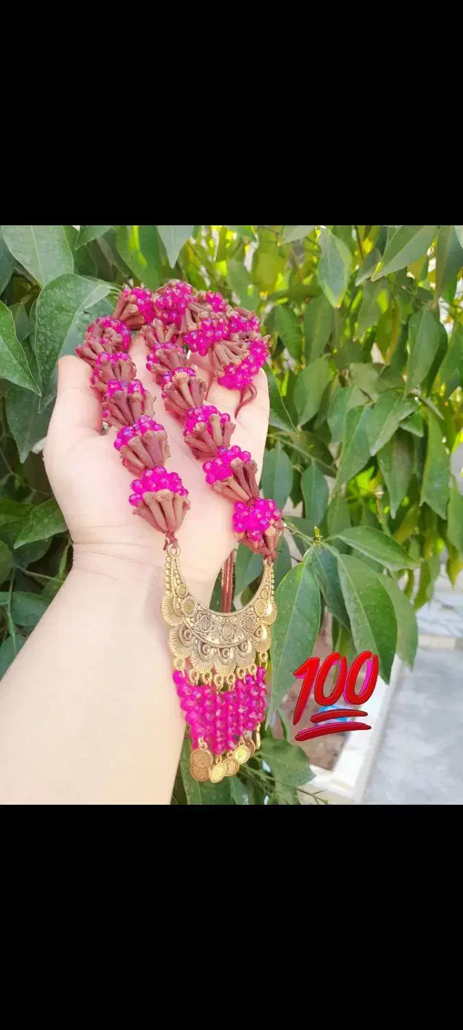 میخک خوش بو|بدلیجات|لردگان, |دیوار