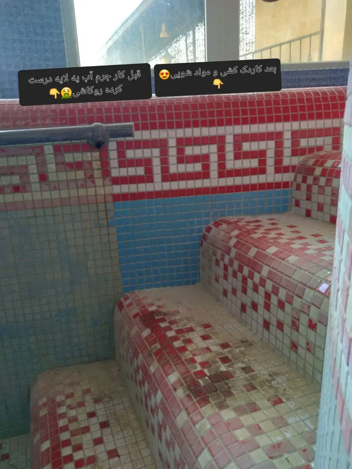 نظافت ساختمان اسید شویی پارکینگ و سمپاشی سوسک|خدمات نظافت|مشهد, کوثر|دیوار