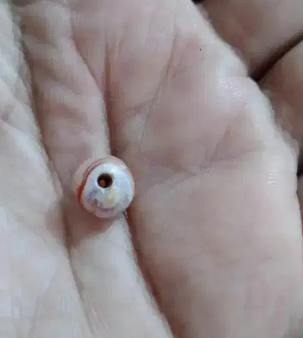 مهره|کلکسیون اشیاء عتیقه|دزفول, |دیوار