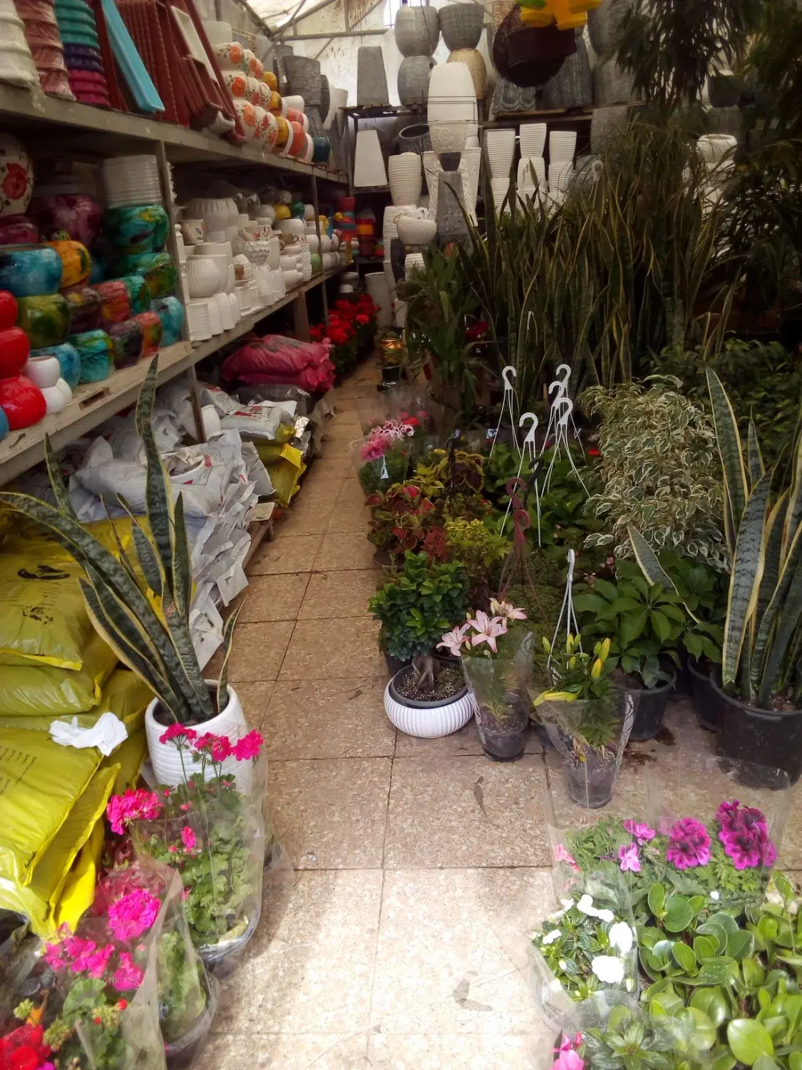 خدمات باغبانی تهرانپارس پاسداران نارمک پیروزی|خدمات باغبانی و درختکاری|تهران, تهرانپارس غربی|دیوار