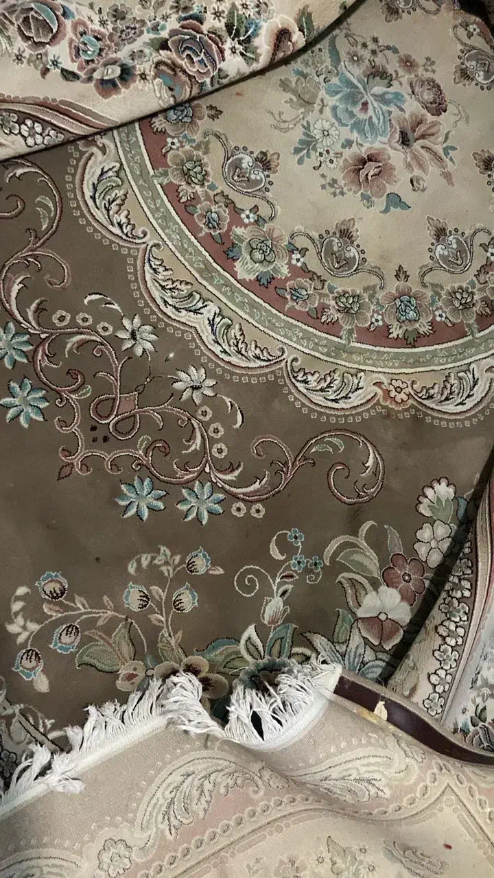 فرش ۱۲ متری|فرش|اسلام‌شهر, شهرک قائمیه|دیوار