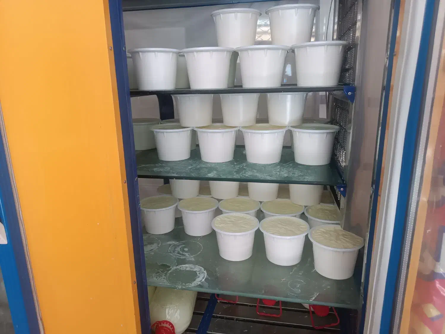 یخچال|فروشگاه و مغازه|ارومیه, |دیوار