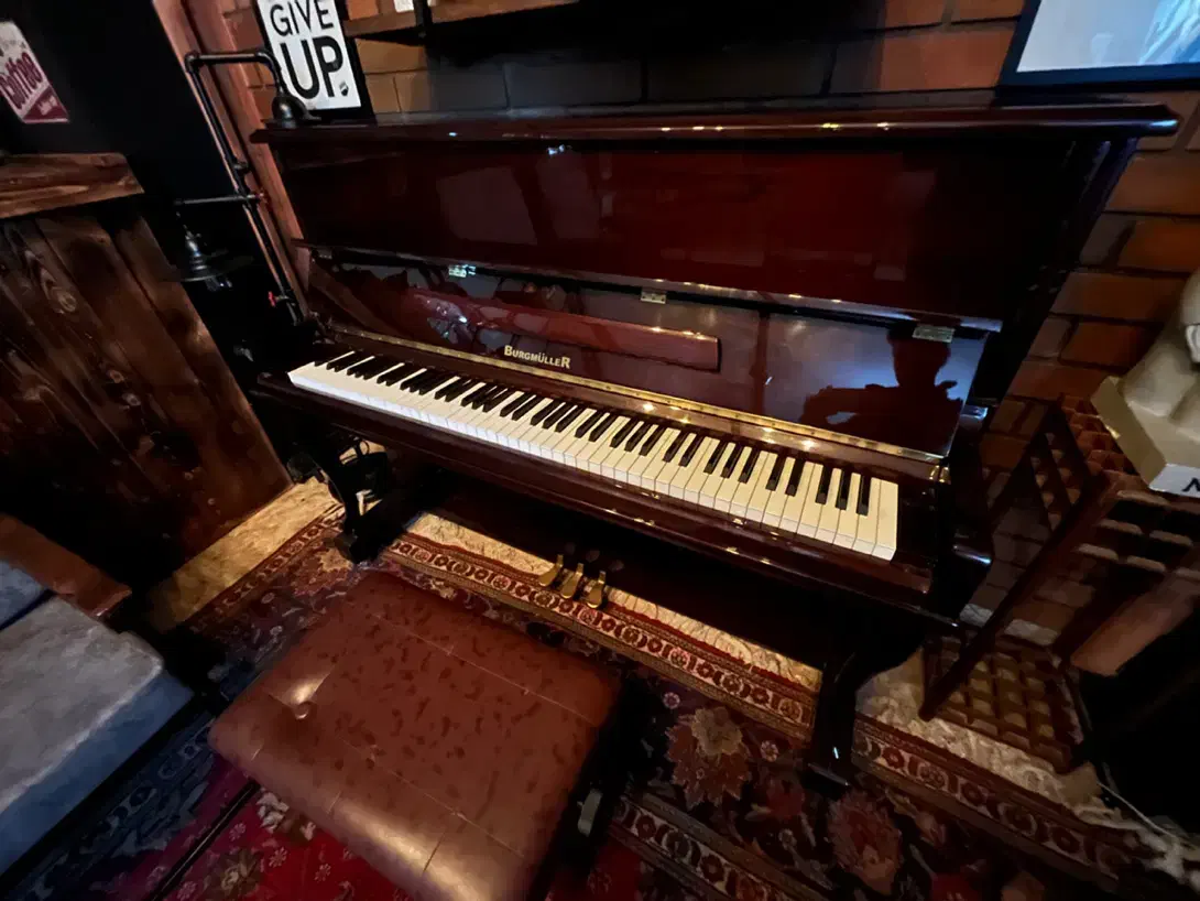 پیانو اگوستیک برند برگمولر رنگ خاص ماهگونی|پیانو، کیبورد، آکاردئون|رامسر, |دیوار