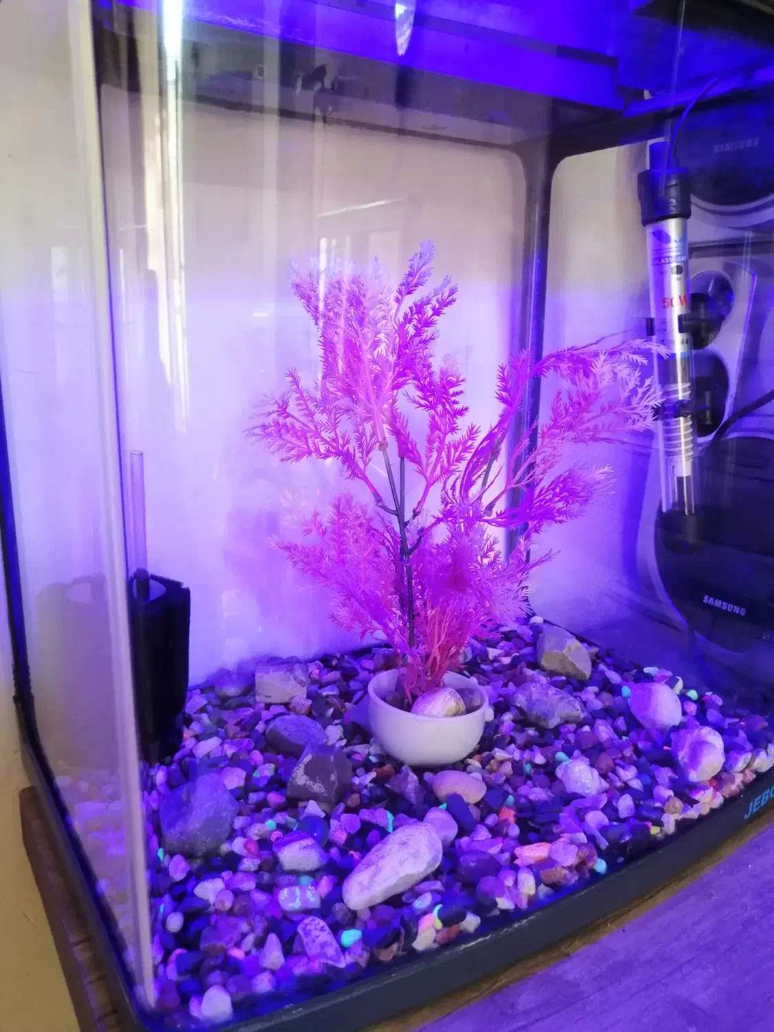 آکواریوم شرکتیJEBO|ماهی|تبریز, |دیوار