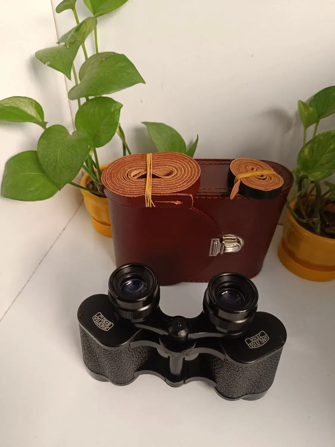 دوربین شکاری کارال زایس جینا|کوهنوردی و کمپینگ|شیراز, تپه تلویزیون|دیوار