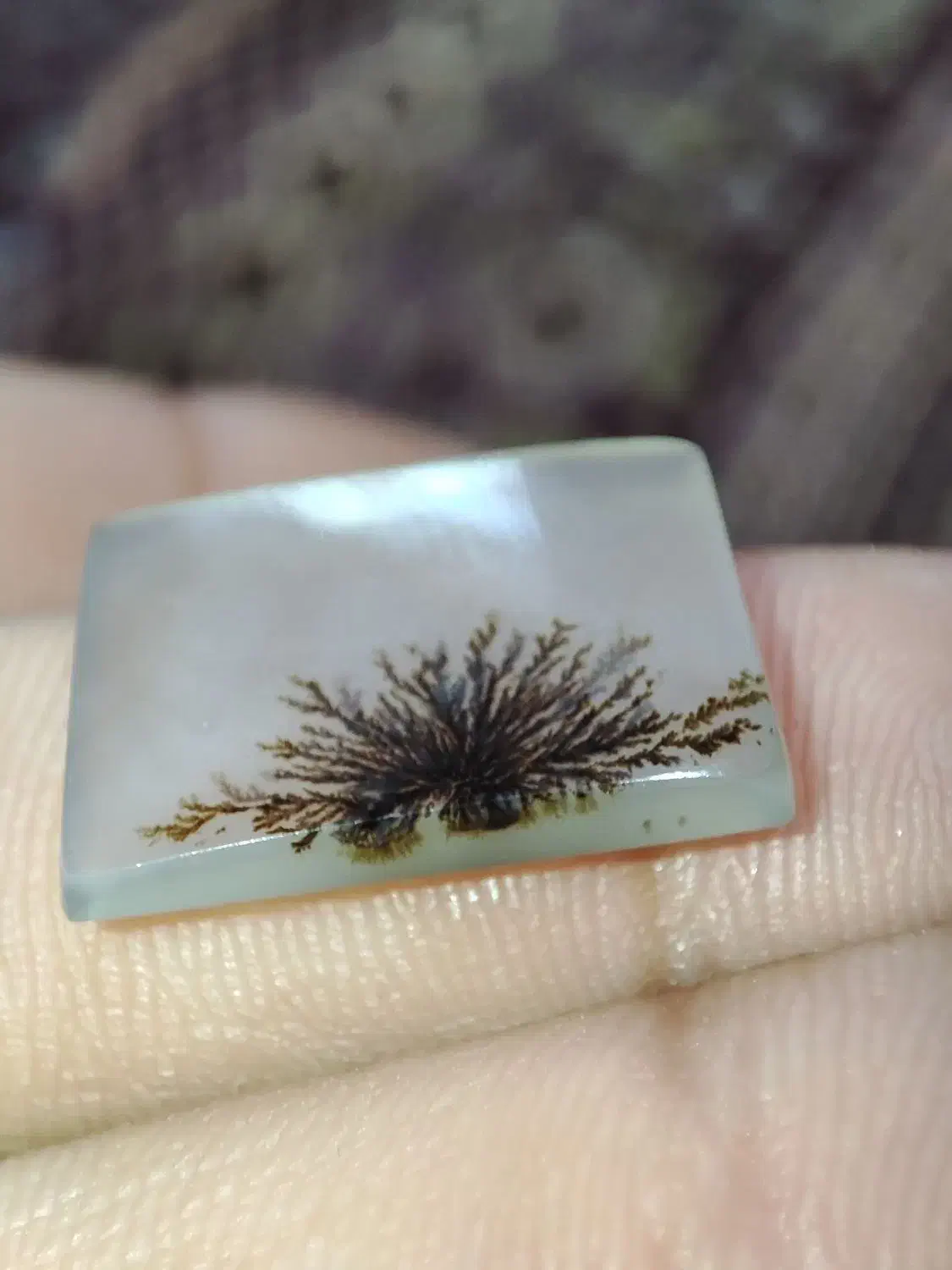 نگین شجر|جواهرات|فیروزآباد (لرستان), |دیوار