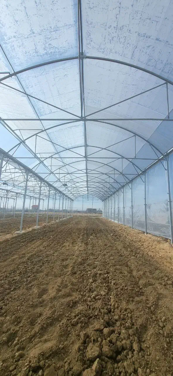 مشاوره و ساخت گلخانه های صنعتی|خدمات پیشه و مهارت|اراک, |دیوار