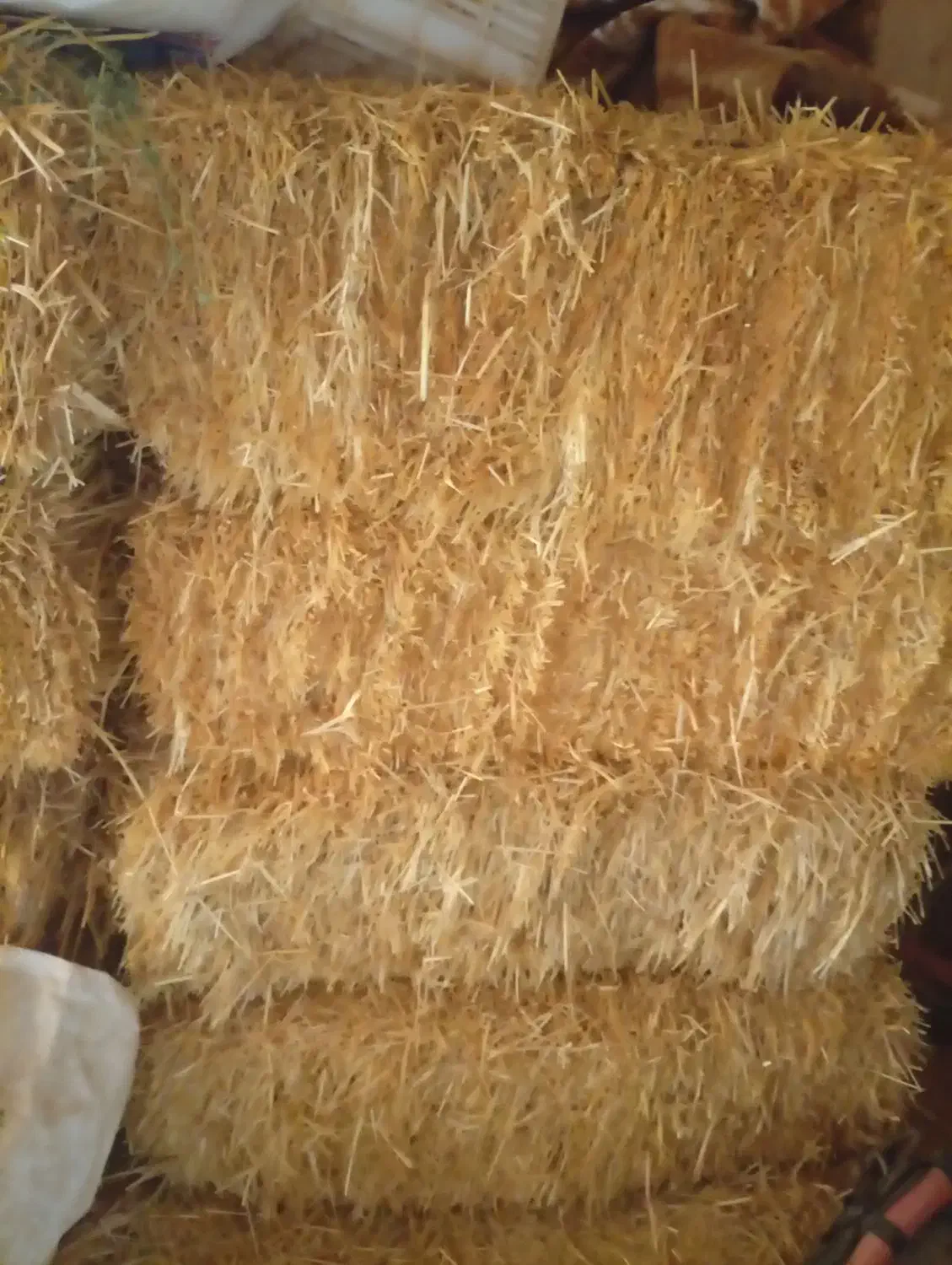 پرس گندم|لوازم جانبی حیوانات|آبکوه, |دیوار