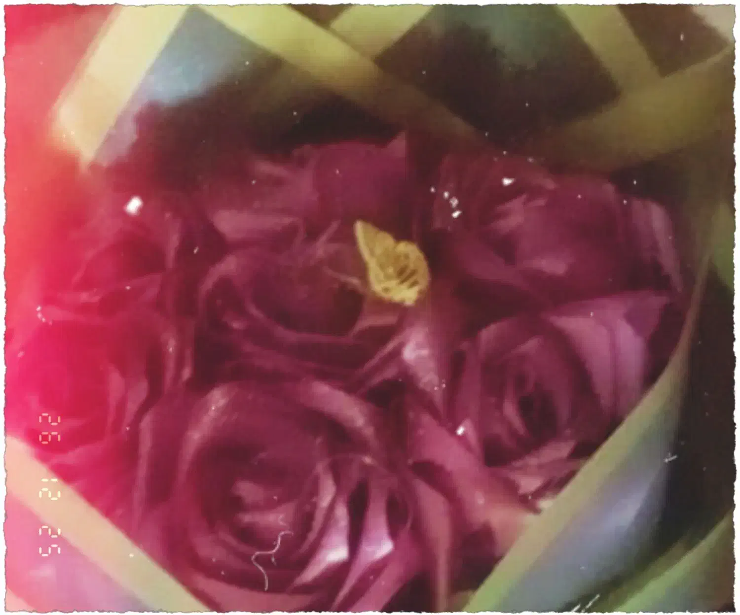 گل ربانی|گل مصنوعی|کرمان, |دیوار