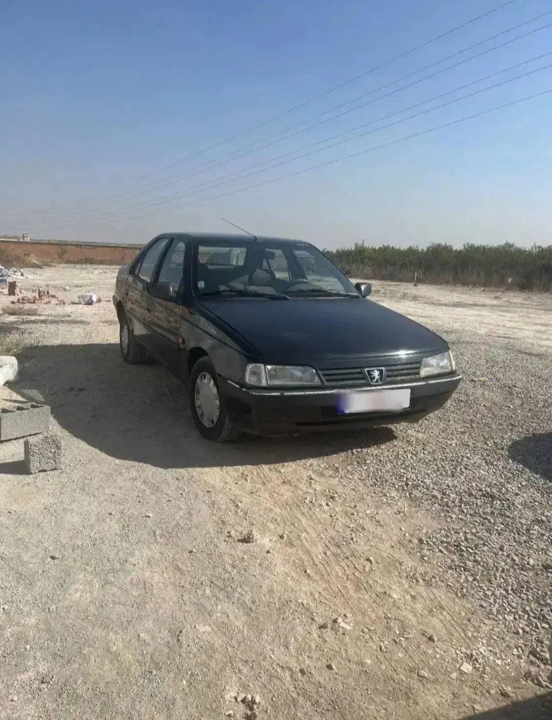 سرویس همراه با کارگر ماهر برای جمع کردن گل زعفران|خدمات حمل و نقل|تربت‌حیدریه, منصوریه|دیوار