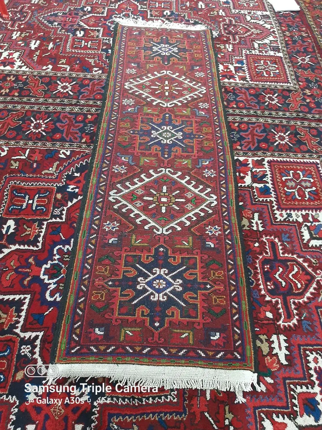 فرش 2/5 متری|فرش|اهر, |دیوار