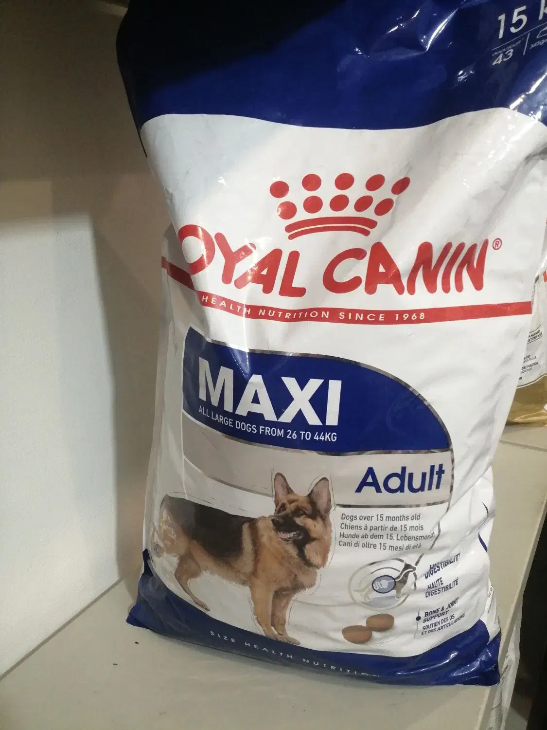 واگذاری پت شاپ|فروشگاه و مغازه|کیش, |دیوار