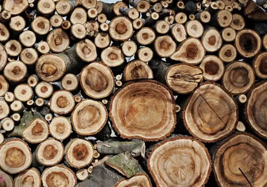 فروش چوب گردو|عمده‌فروشی|کنگاور, |دیوار