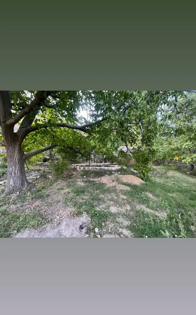 50 قصب باغ بندر دلفارد خوش آب و هوا|فروش خانه و ویلا|درب بهشت, |دیوار