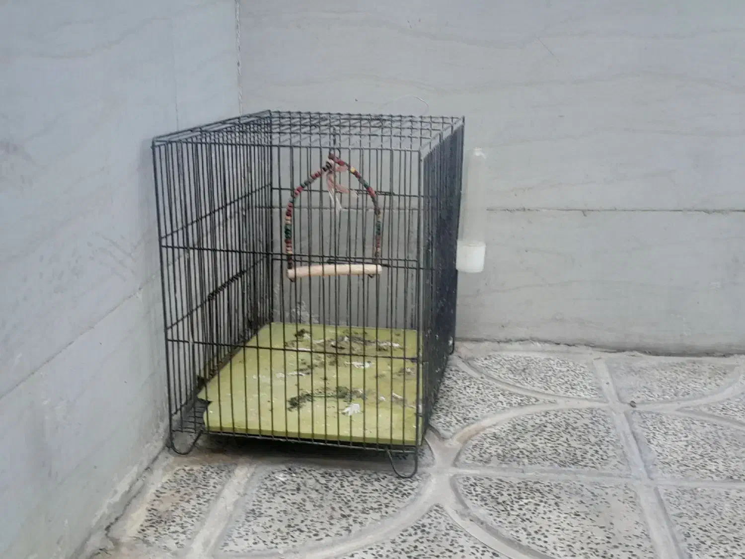 قفس|لوازم جانبی حیوانات|رومشکان, |دیوار